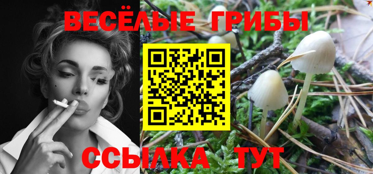Галлюциногенные грибы мицелий Владимир