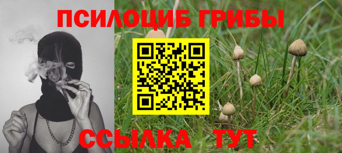Владимир  Псилоцибиновые грибы прущие грибы  Вход с VPN  Галлюциногенные грибы ЛСД 
